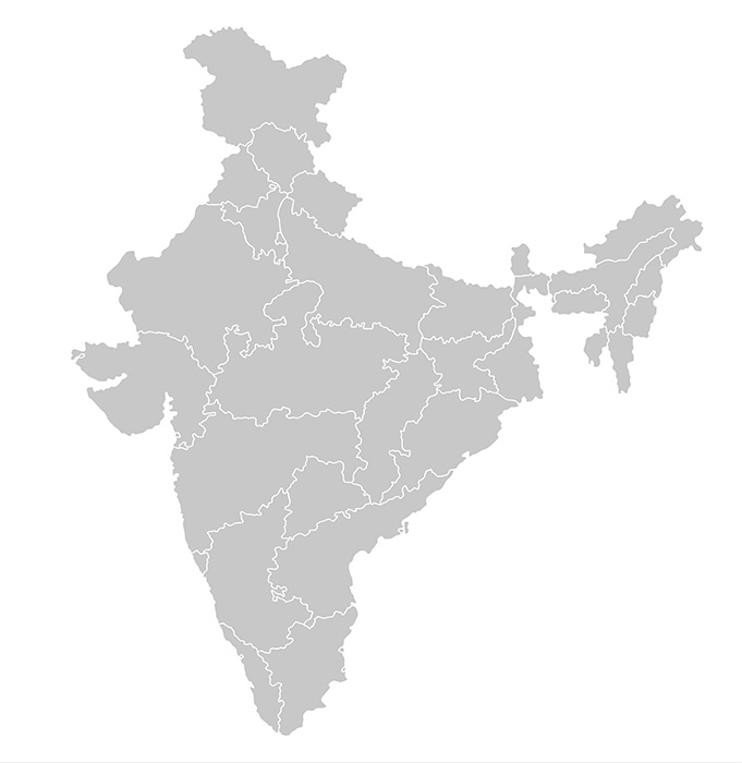India Grey Map